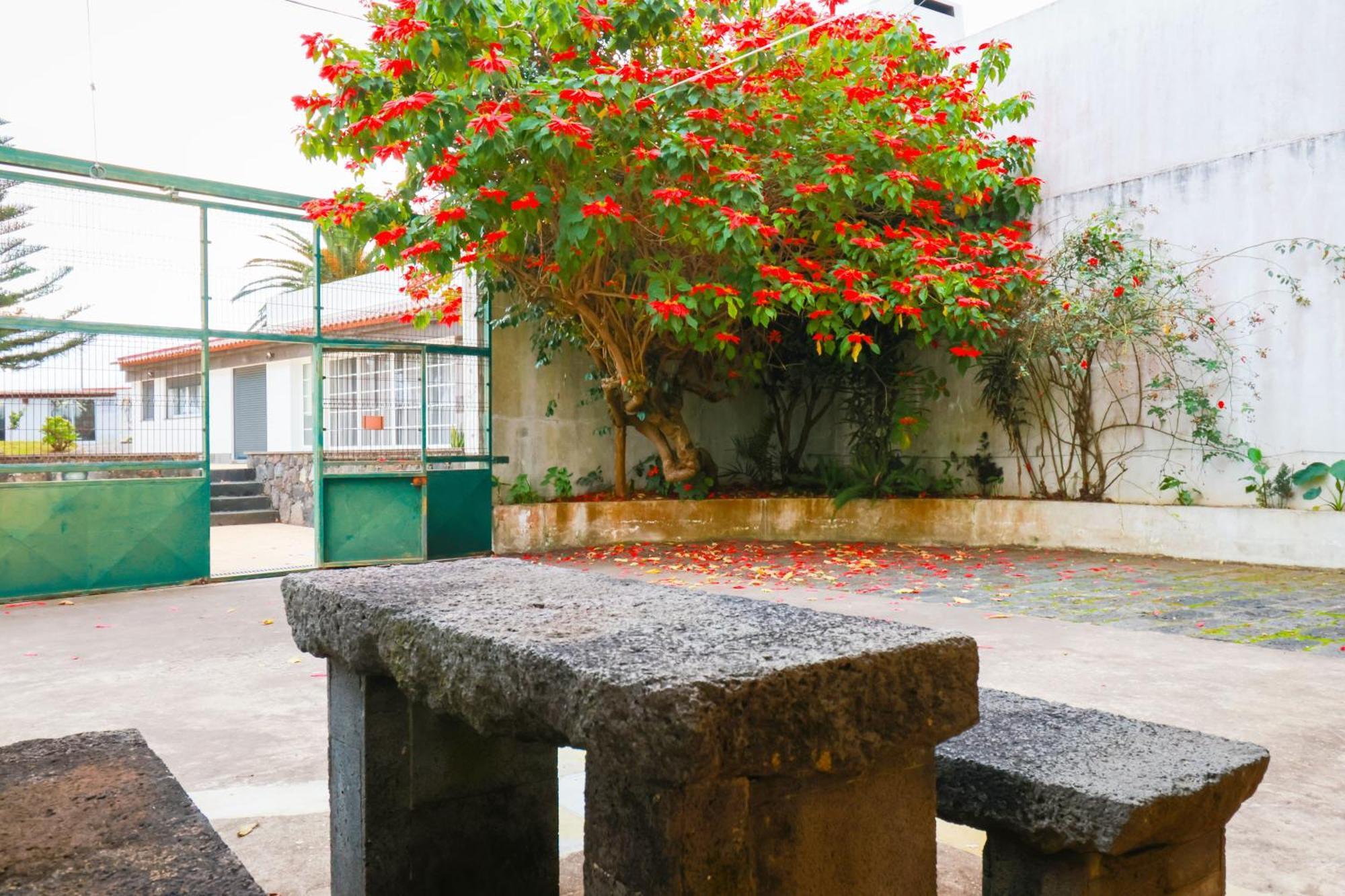 Casa Barao Das Laranjeiras Ponta Delgada Eksteriør billede